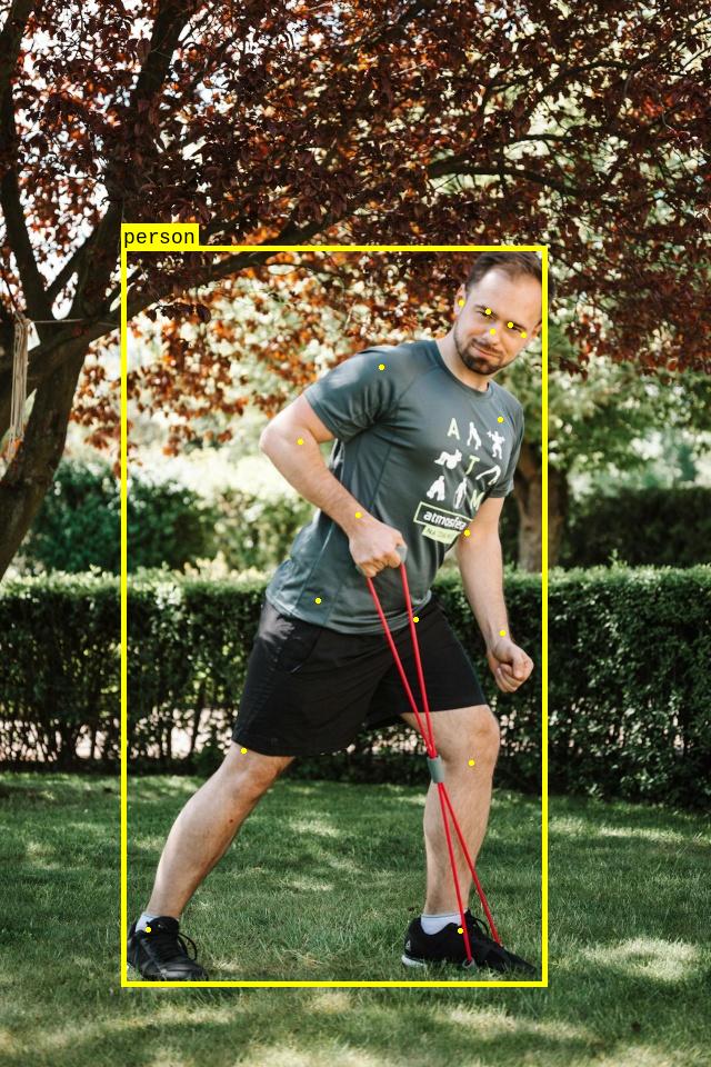 Pose Keypoints